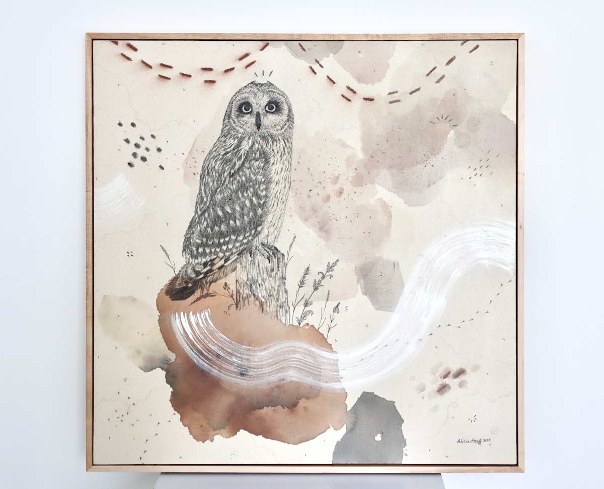 Short-Eared Owl, Open-Country Acrobat by Alicia Hauff Studio 