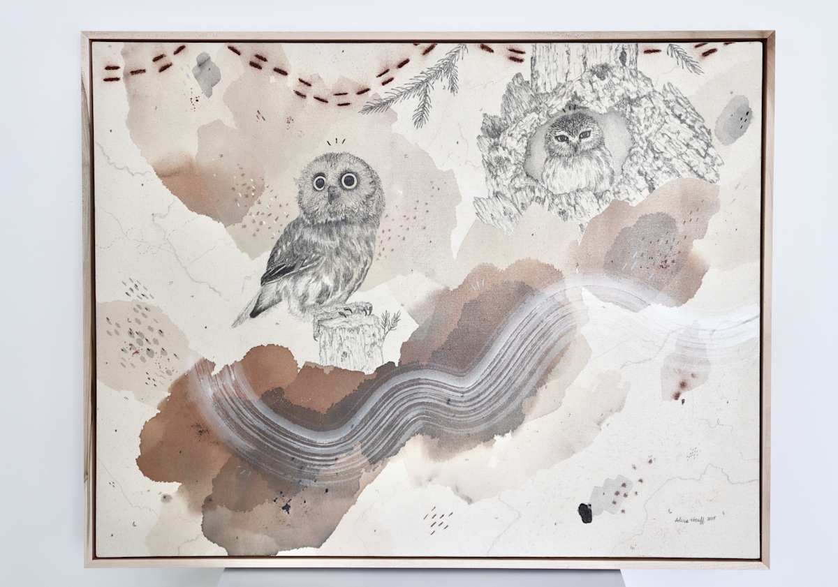 Northern Saw-Whet Owl, Cute With an Attitude by Alicia Hauff Studio 