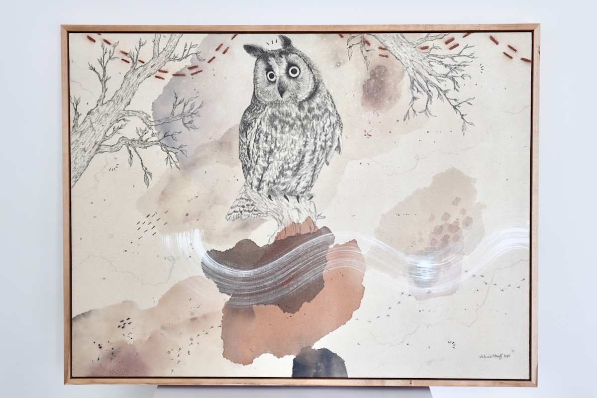 Long-Eared Owl is All Ears by Alicia Hauff Studio 
