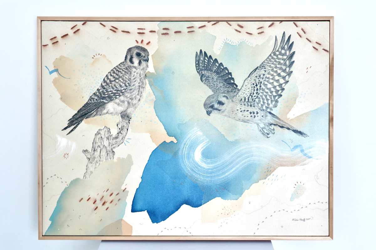 "American Kestrel, Small But Fierce" by Alicia Hauff Studio 