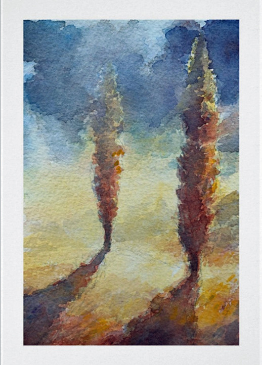 Cypress trees by Katherine Kean 