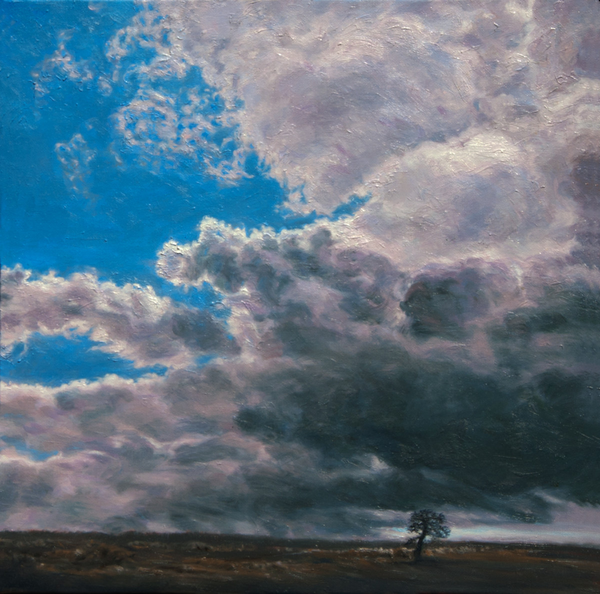 Sheltering Cloud Restless Land Desolate Tree by Katherine Kean 