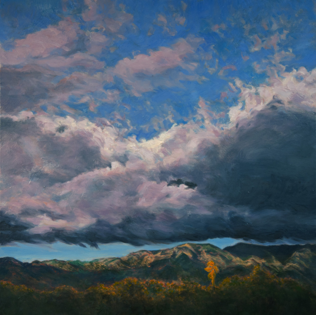 Storm Rise Angeles Forest by Katherine Kean 