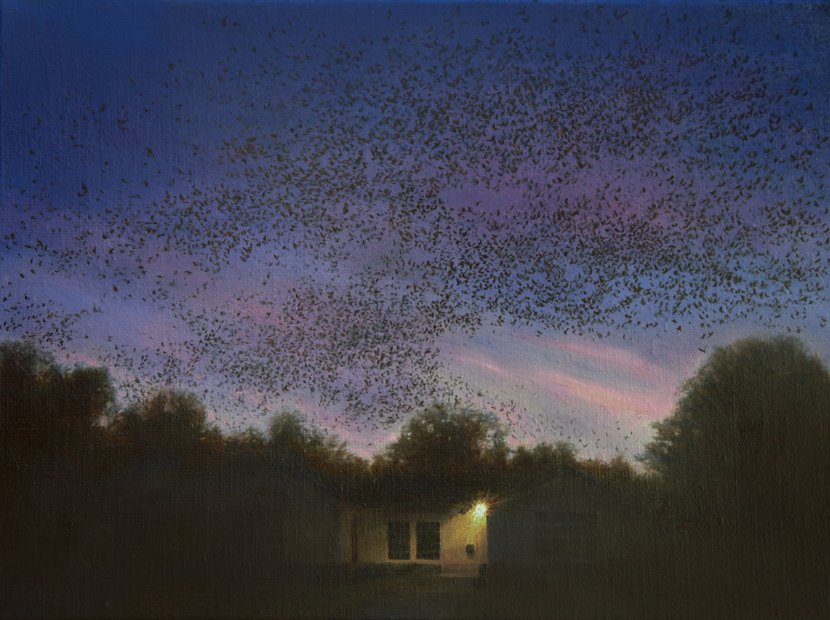 Suburban Murmuration by Katherine Kean 