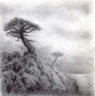 Coastal Pines by Katherine Kean 