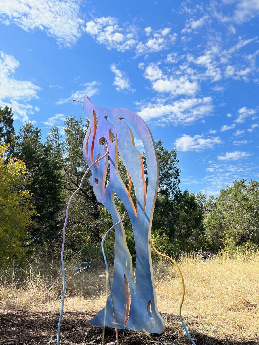 The Seeds We Plant 44 by Alicia Philley  Image: The Seeds We Plant, original and site-specific  installation at the Lady Bird Johnson Wildflower Center