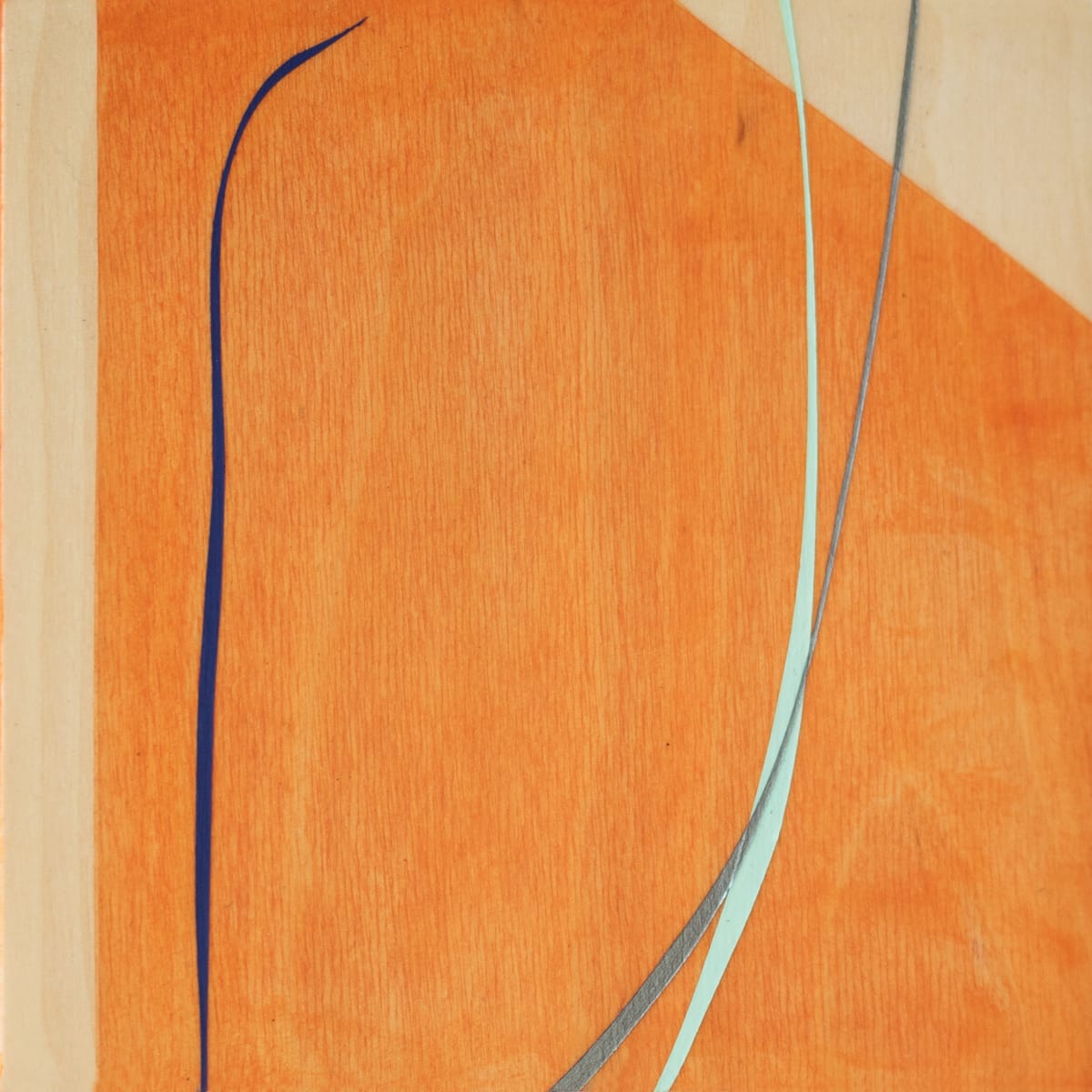 The Complete/Incomplete Timeline #40 (or maybe #39) by Alicia Philley 