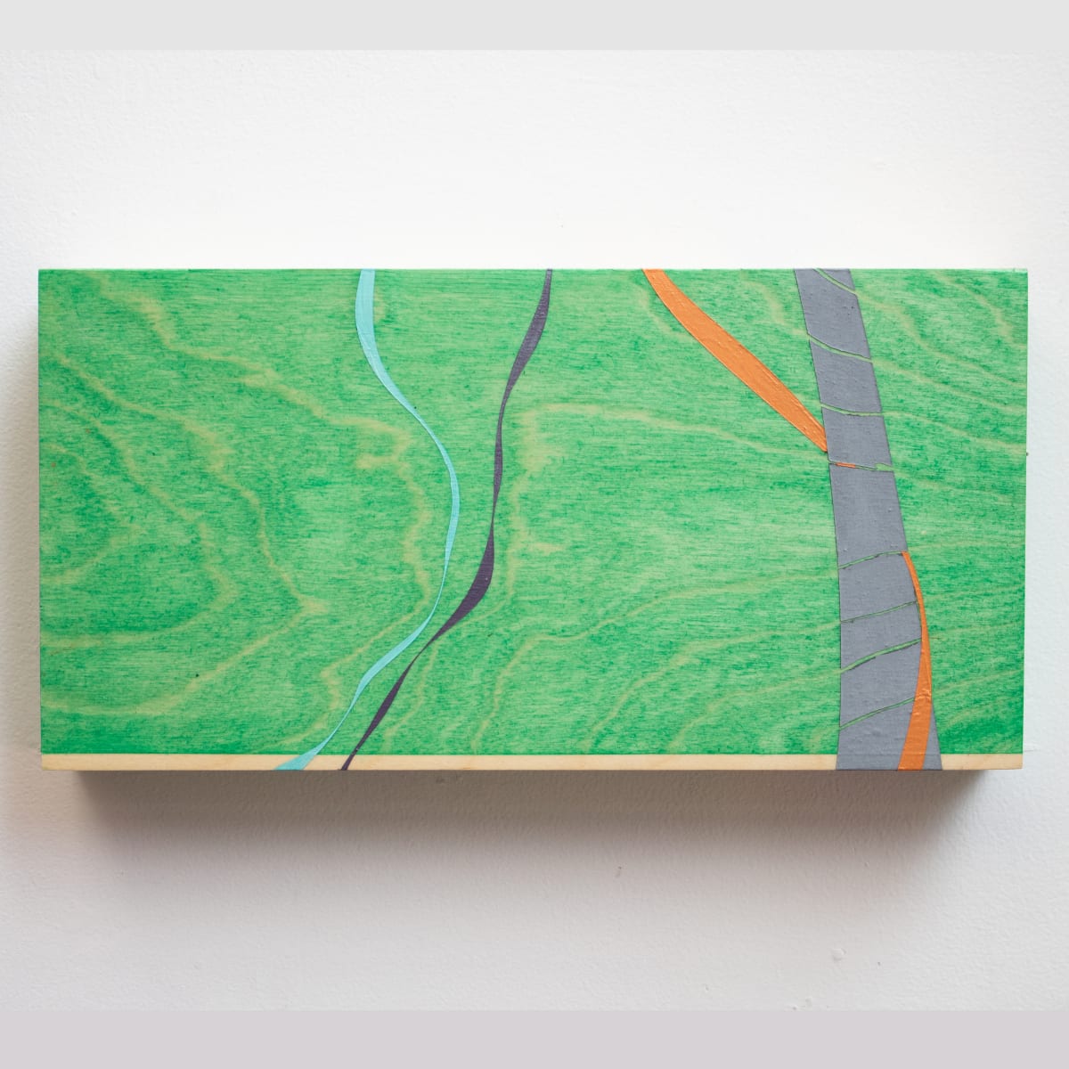 The Complete/Incomplete Timeline, #2 by Alicia Philley 