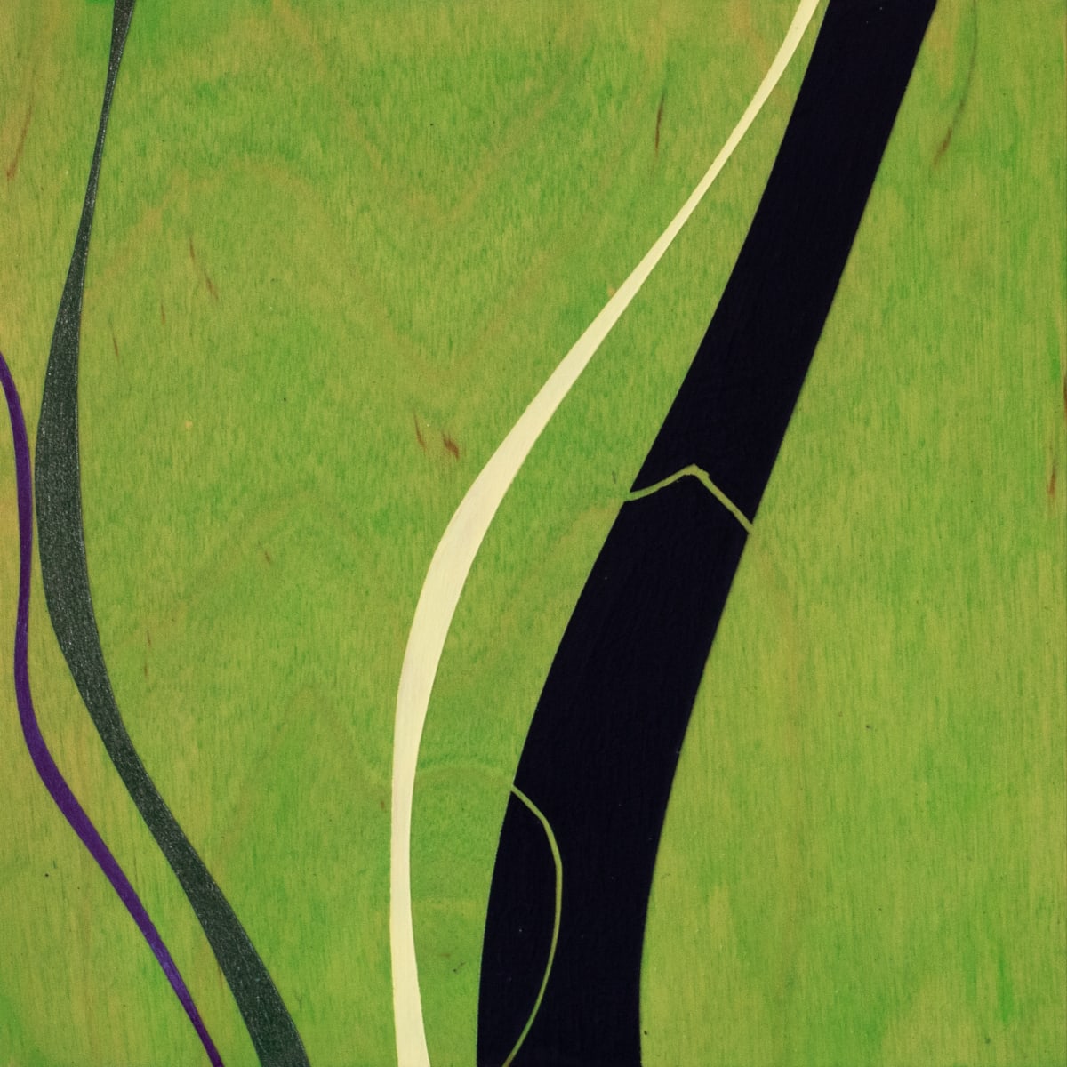 The Complete/Incomplete Timeline, #11 by Alicia Philley 