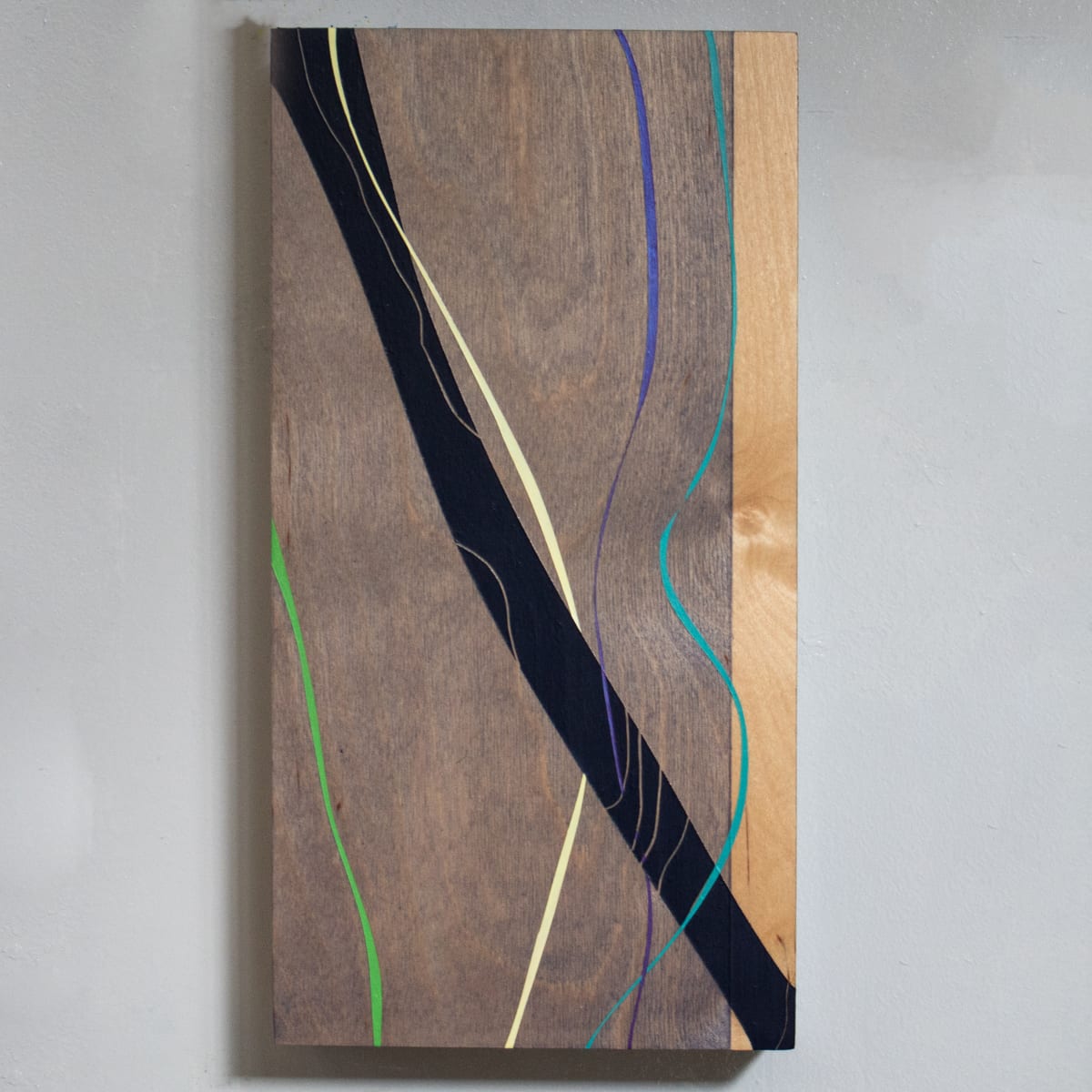 The Complete/Incomplete Timeline #13 by Alicia Philley 