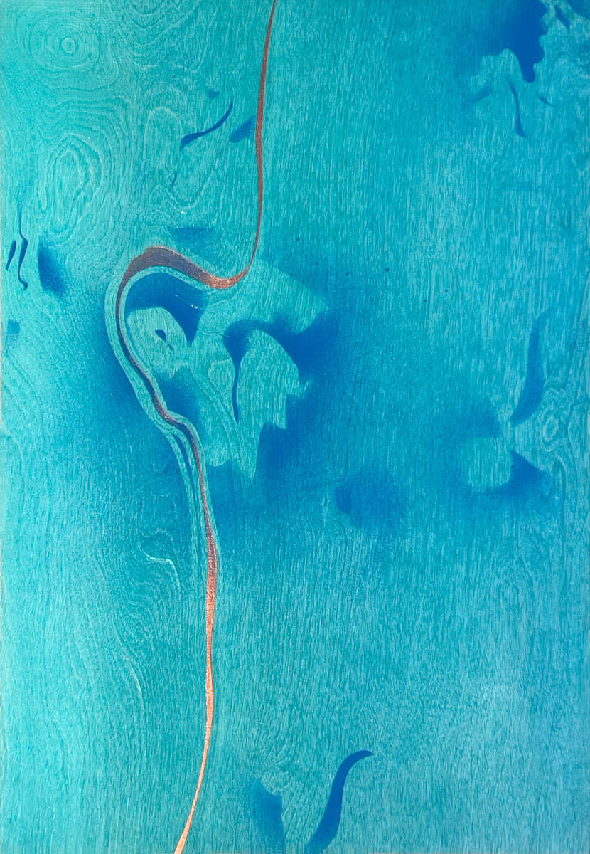 Stiles Cove 1 by Alicia Philley 