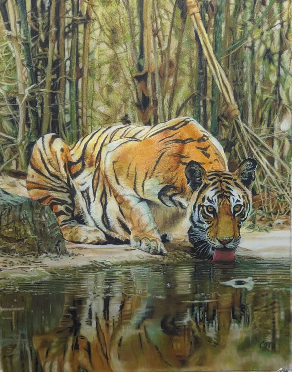 Tiger at the river by Carol Motsinger 