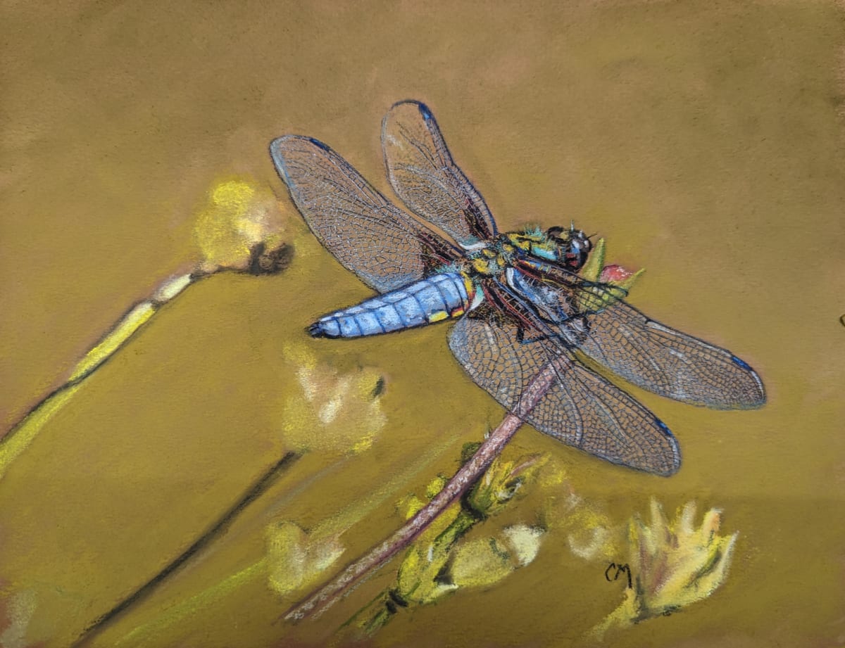 Dragonfly by Carol Motsinger 