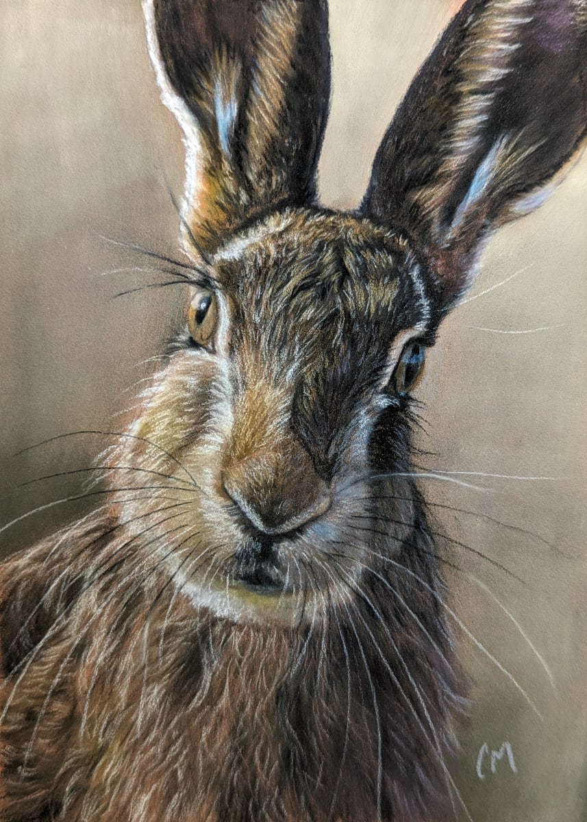 Portrait of a Hare by Carol Motsinger 