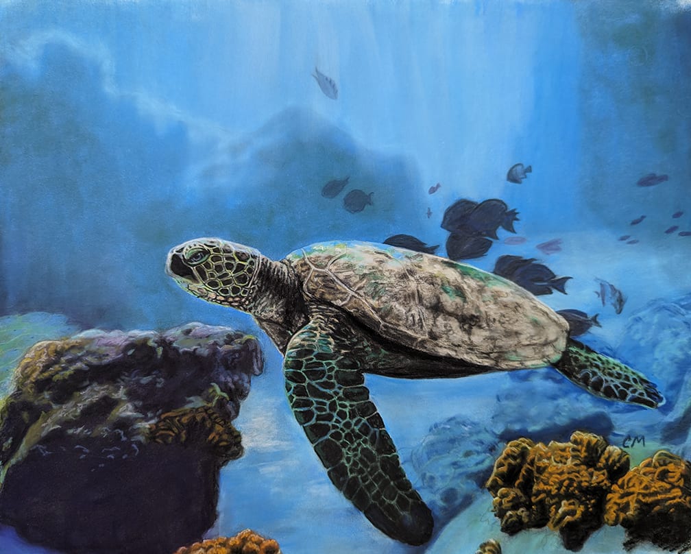 sea turtle by Carol Motsinger 