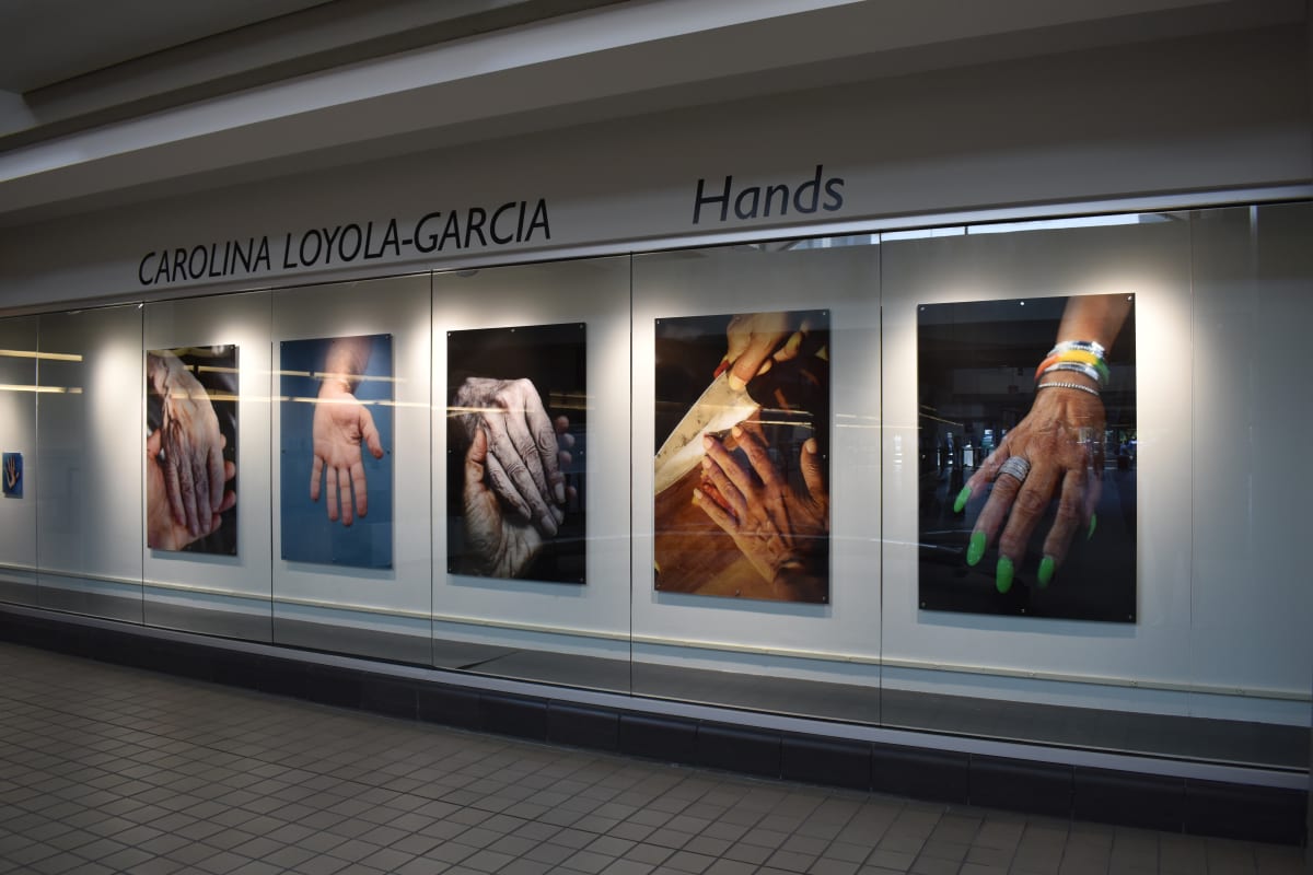 Hands by Carolina Loyola-Garcia 