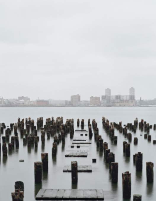 Untitled #8 from the series River by Janelle Lynch 