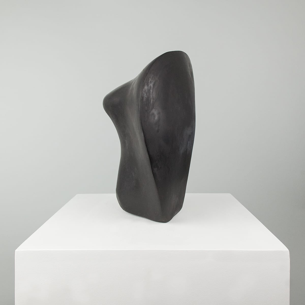 Energetic Body—Carbon Black 5/12 by Xavier Allen