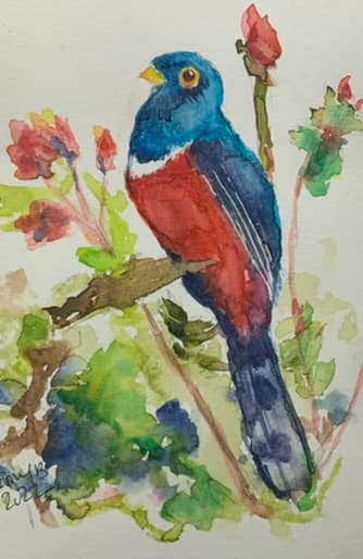 Spring Bird # 7 by Eileen Backman 