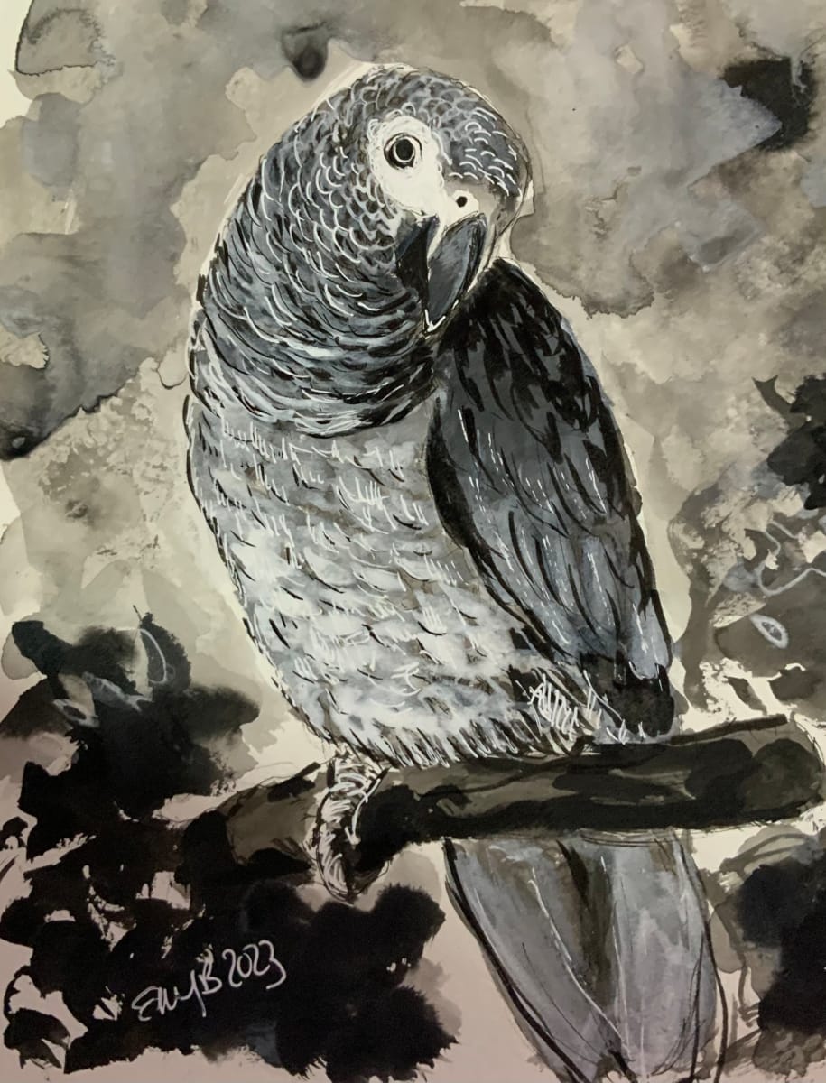 African Grey by Eileen Backman  Image: African Grey