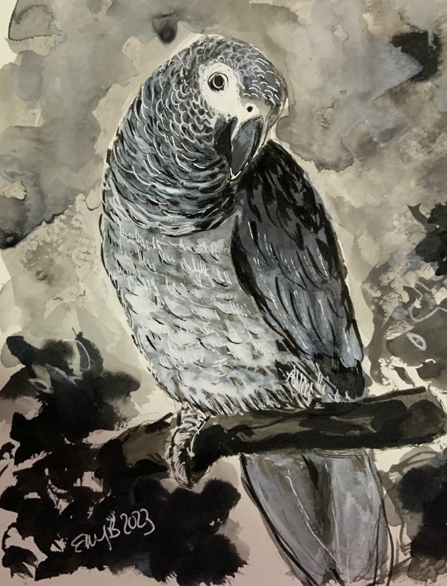 African Grey by Eileen Backman, Image 1.