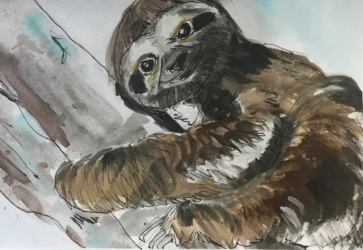 Smiling Sloth, Image 11.