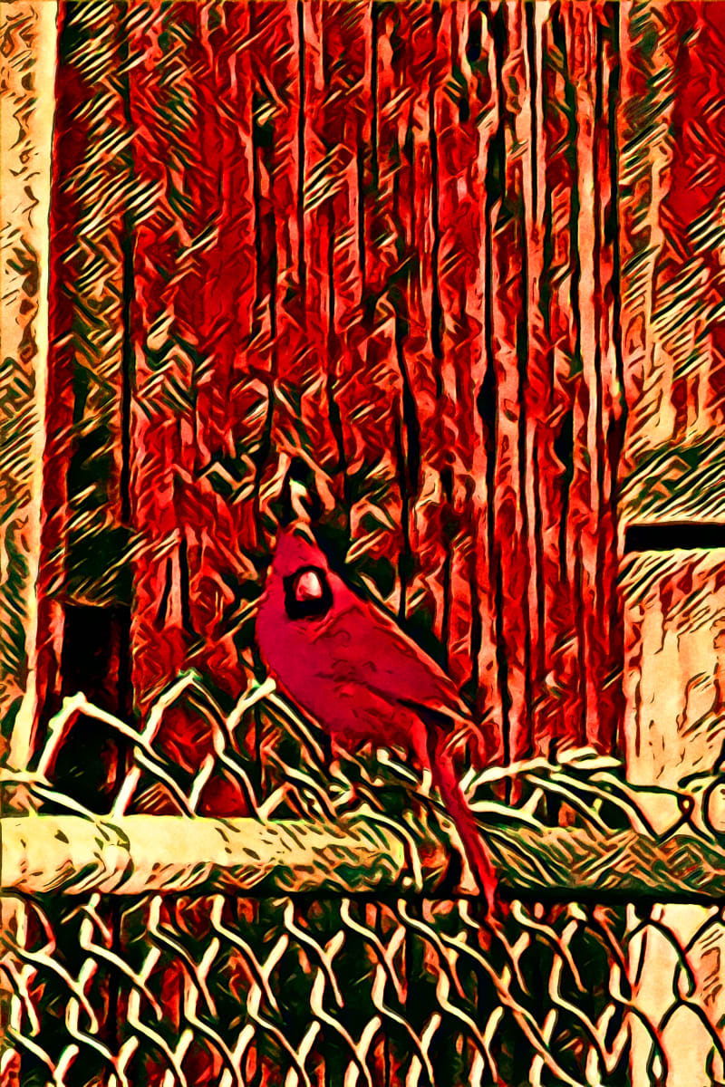 Morning Messenger, Image 9.