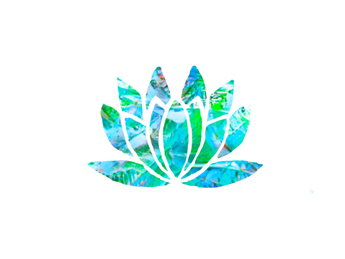 Lotus Flower 3, Image 25.