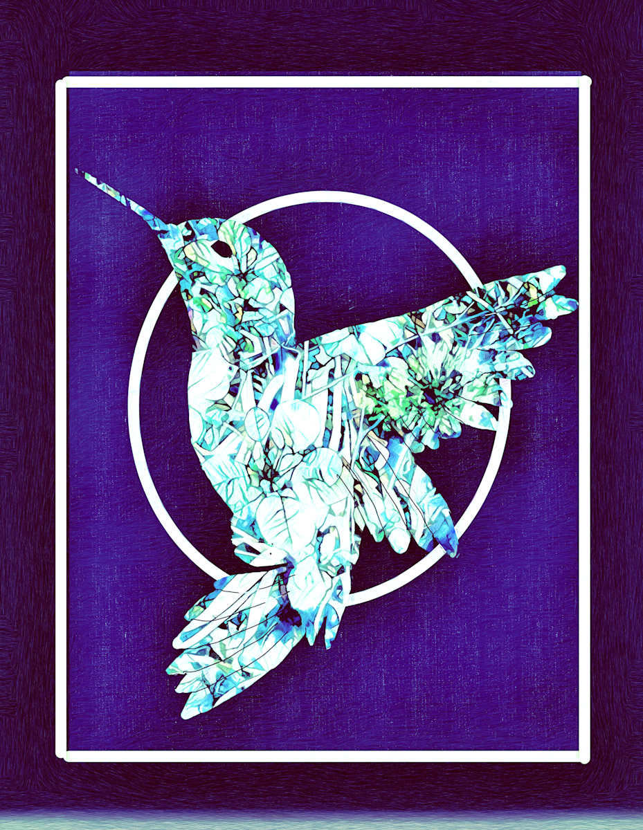 Hummingbird Framed, Image 11.