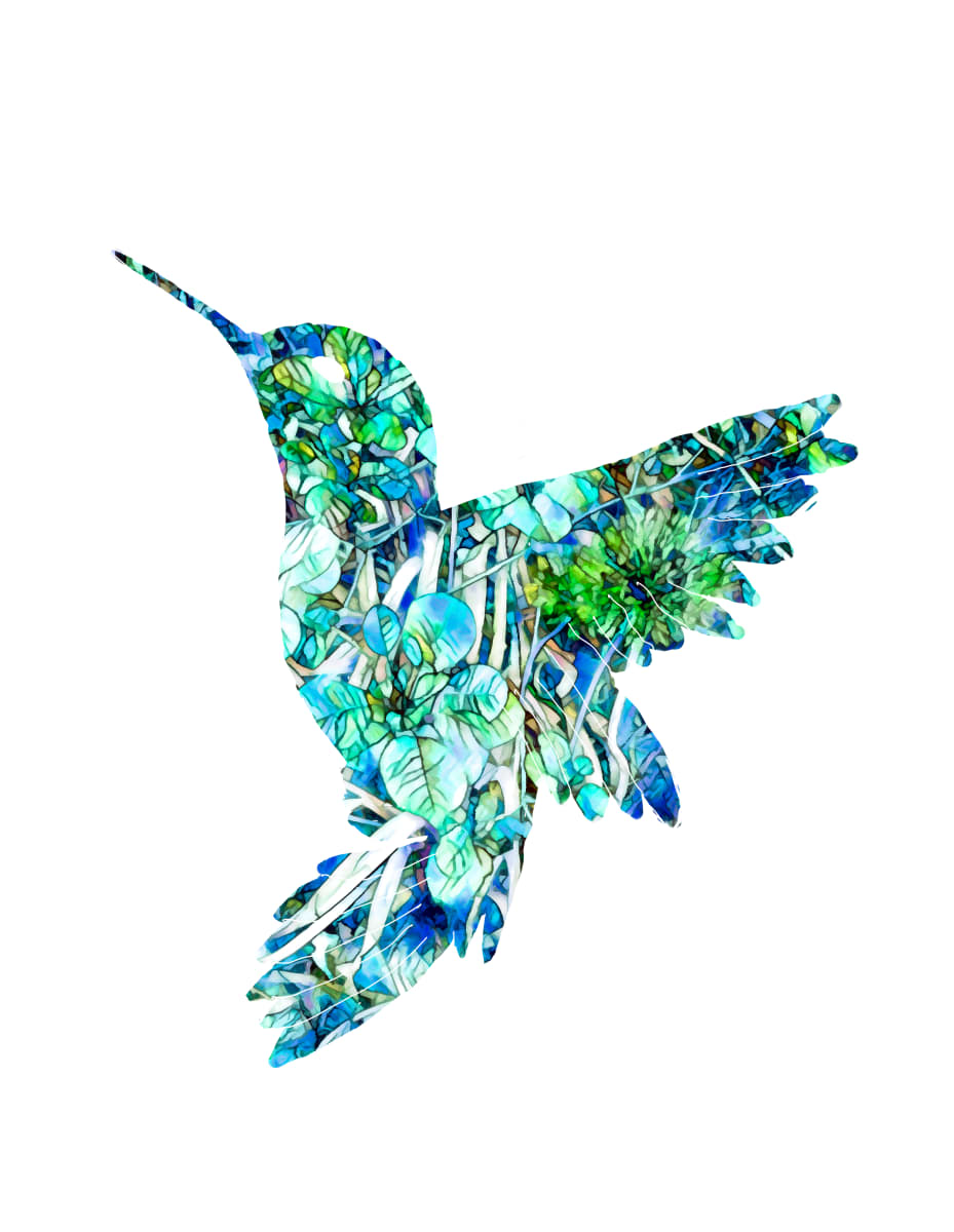 Hummingbird 2 