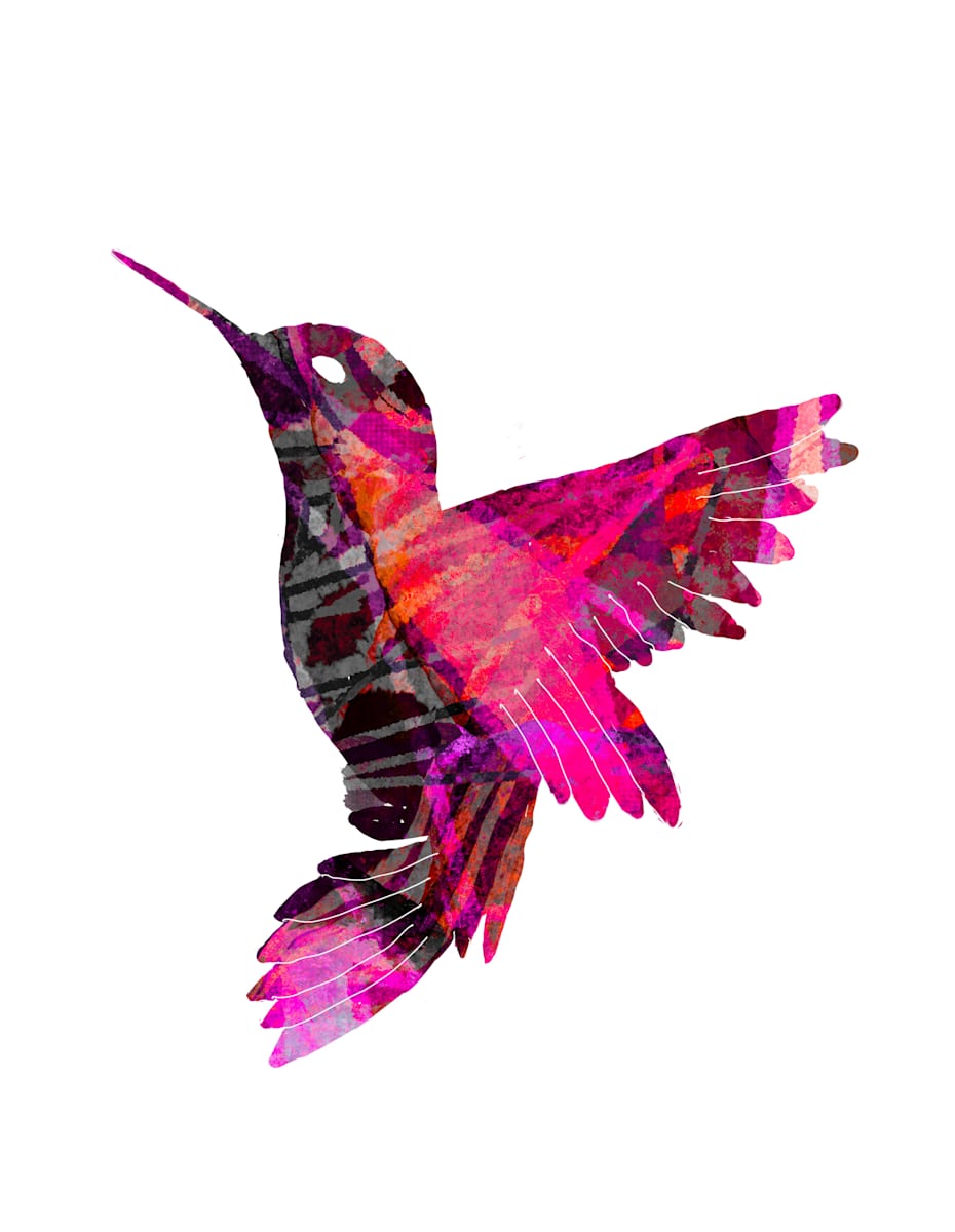 Hummingbird 3, Image 28.
