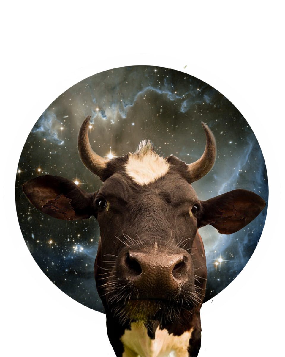 Galaxy Cow 3, Image 2.