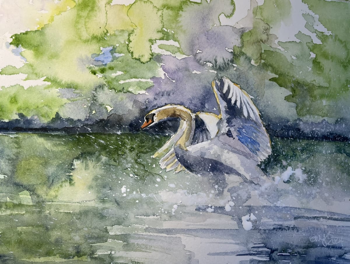 Swan Lake by Eileen Backman 