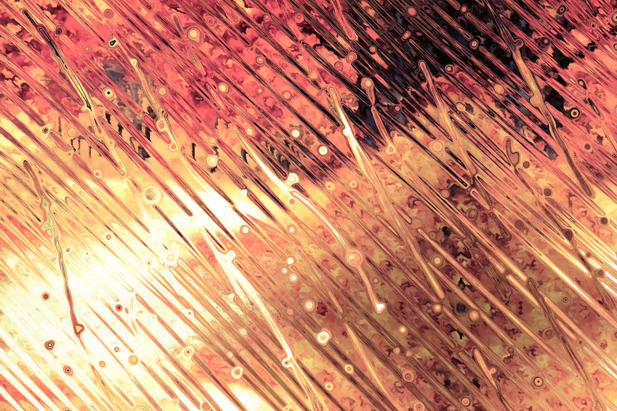 Autumn Rain, Image 16.