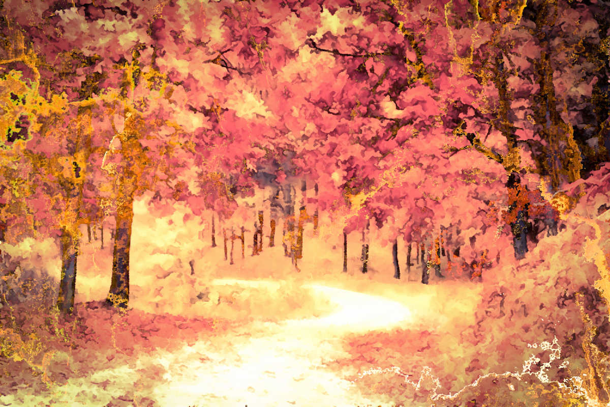 Autumn Day, Image 15.
