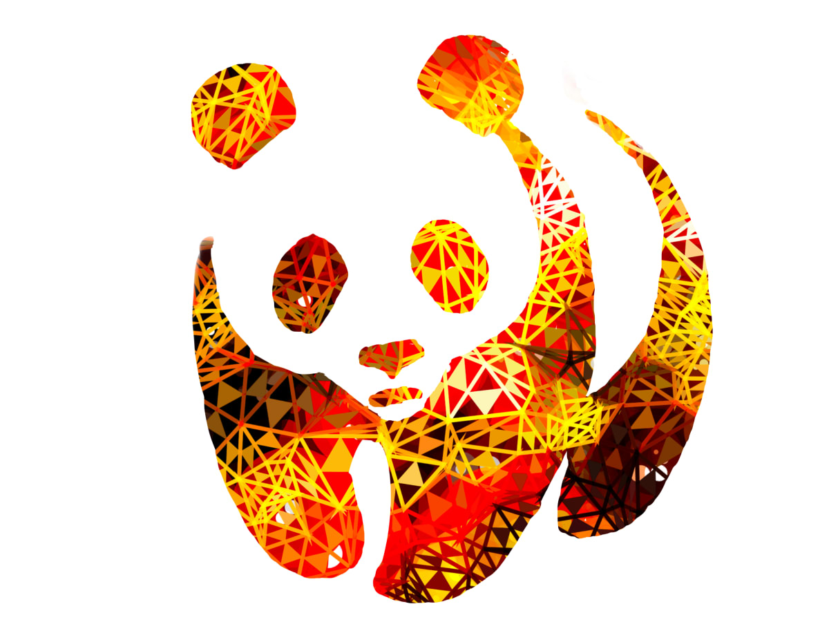 Panda Orange 