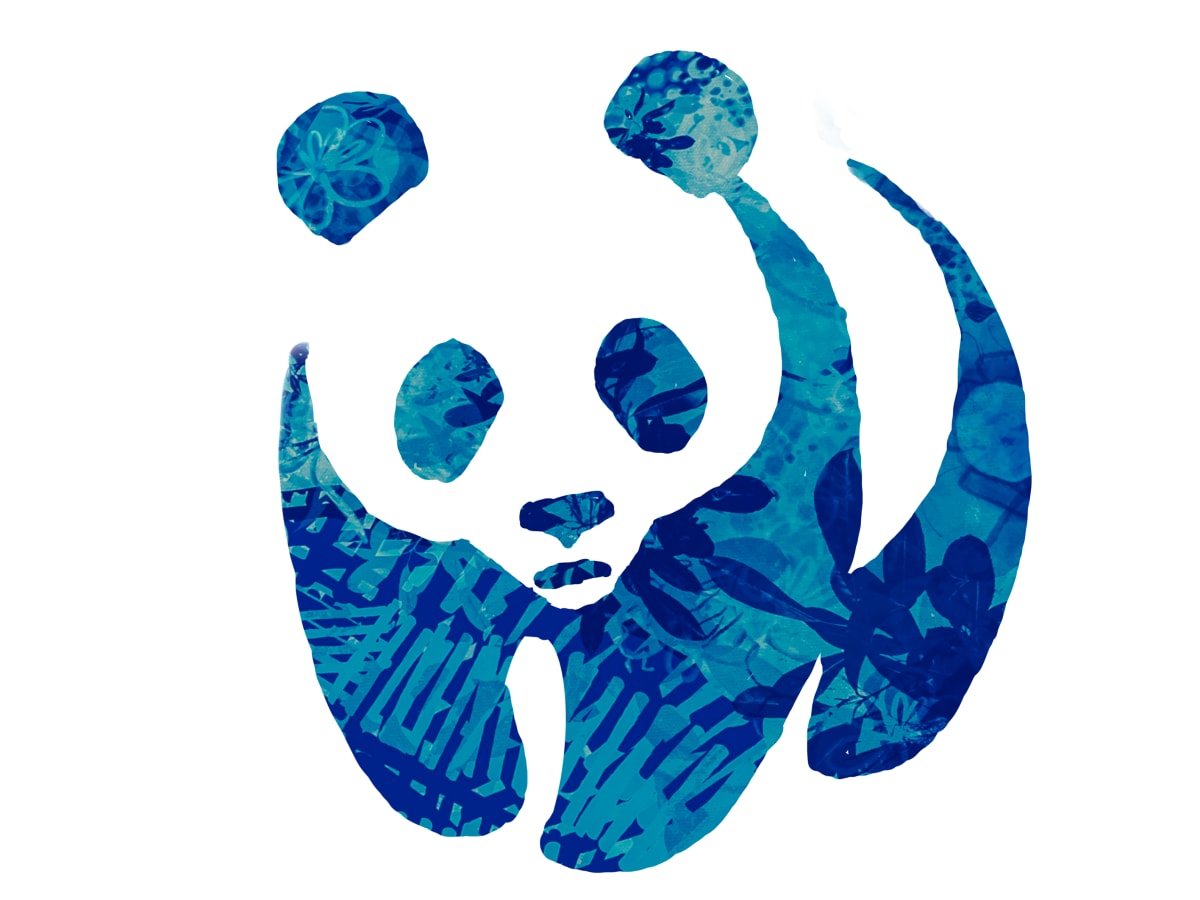 Panda Blue, Image 50.