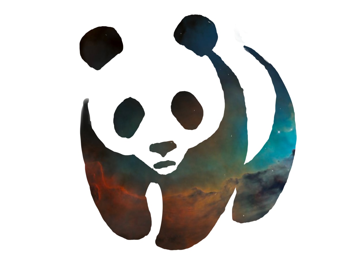 Panda 1, Image 51.