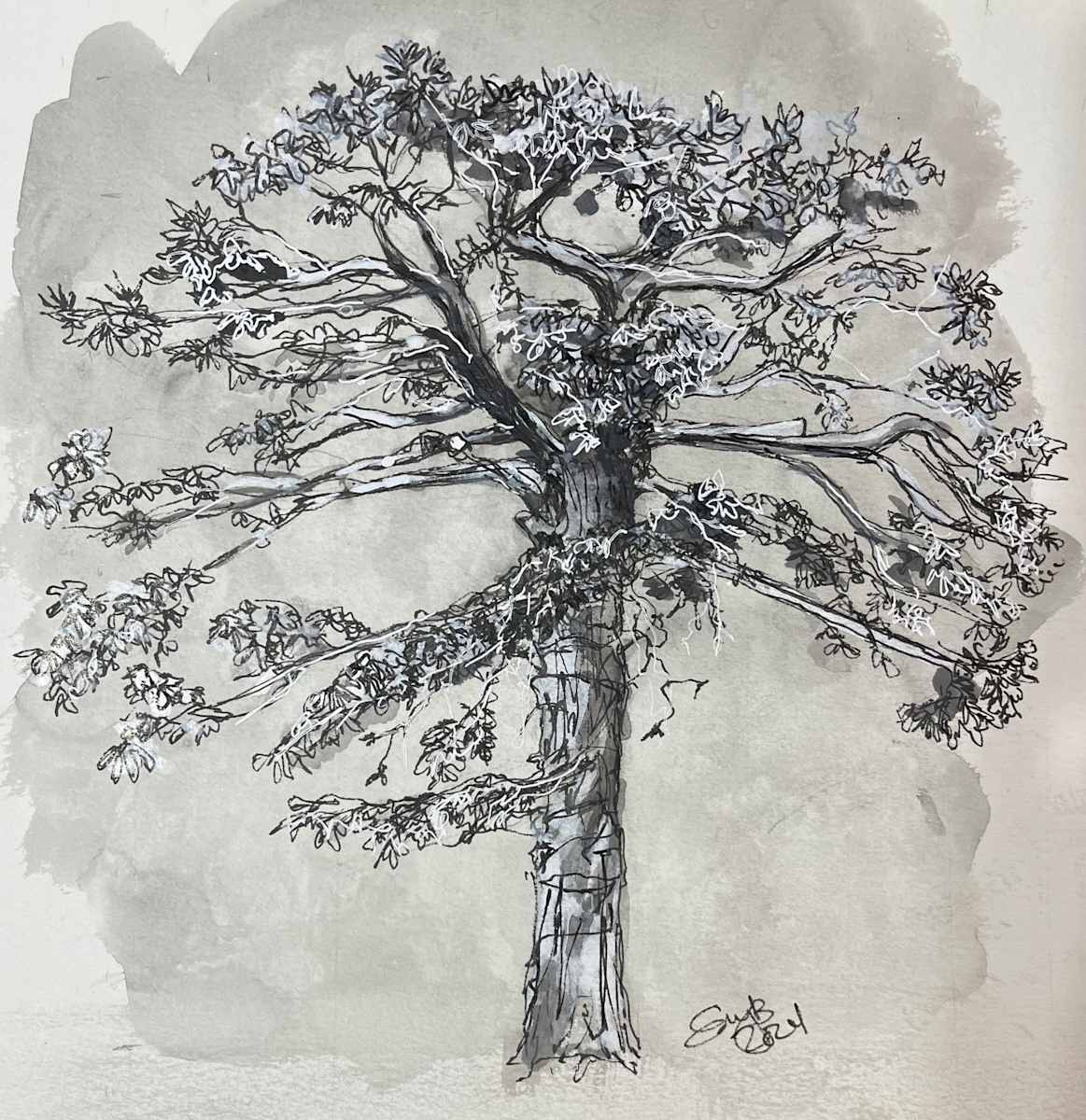 Tree at David Davis Mansion by Eileen Backman, Image 1.