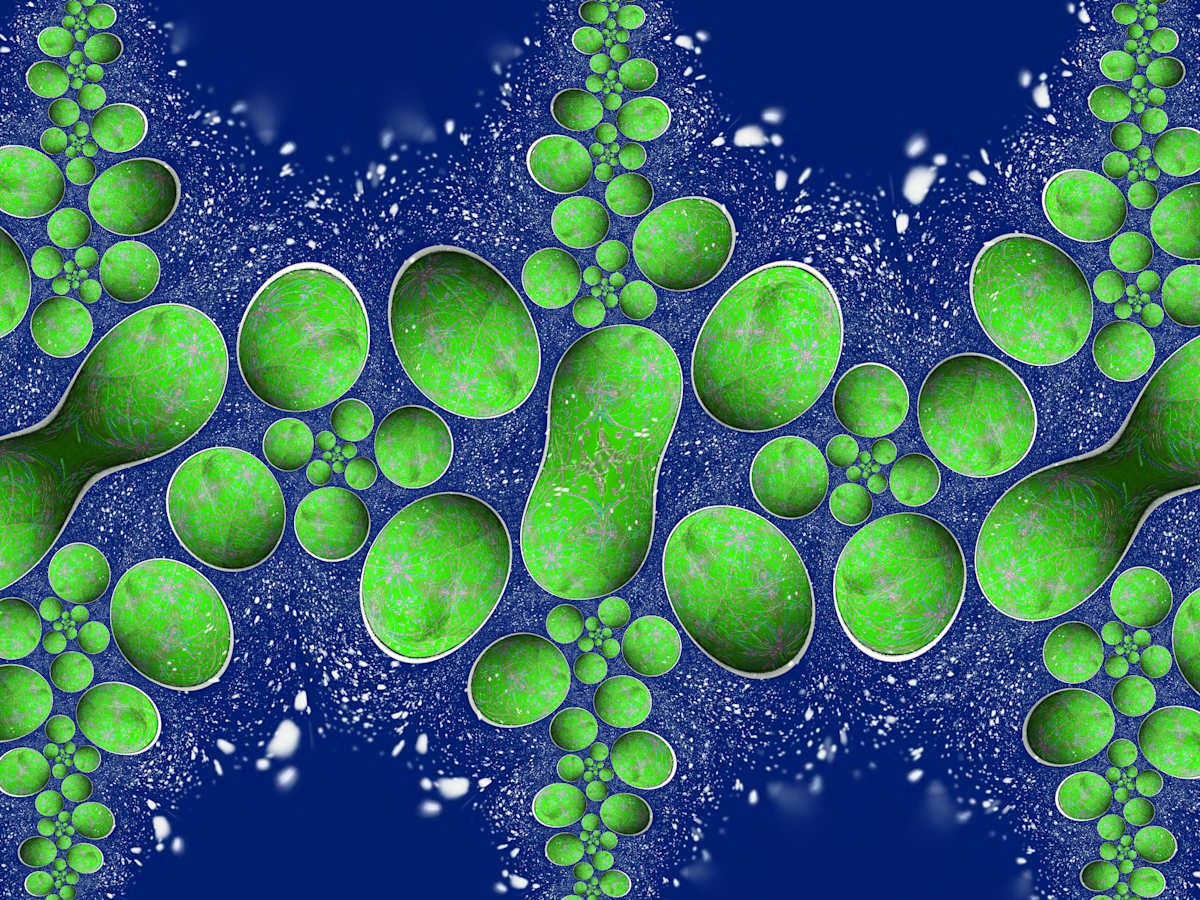 Green Blobble, Image 5.