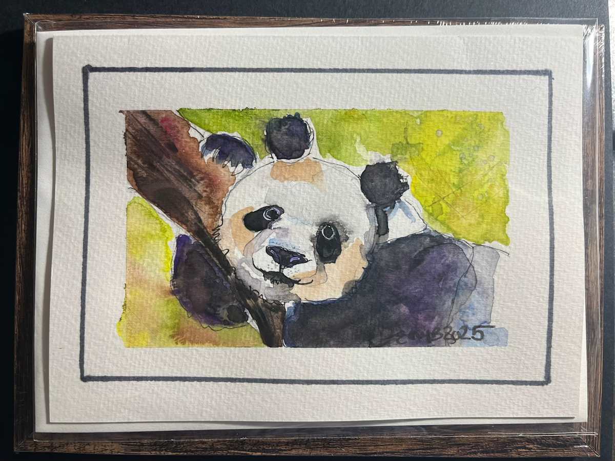 Panda (Greeting Card and Frame) by Eileen Backman 