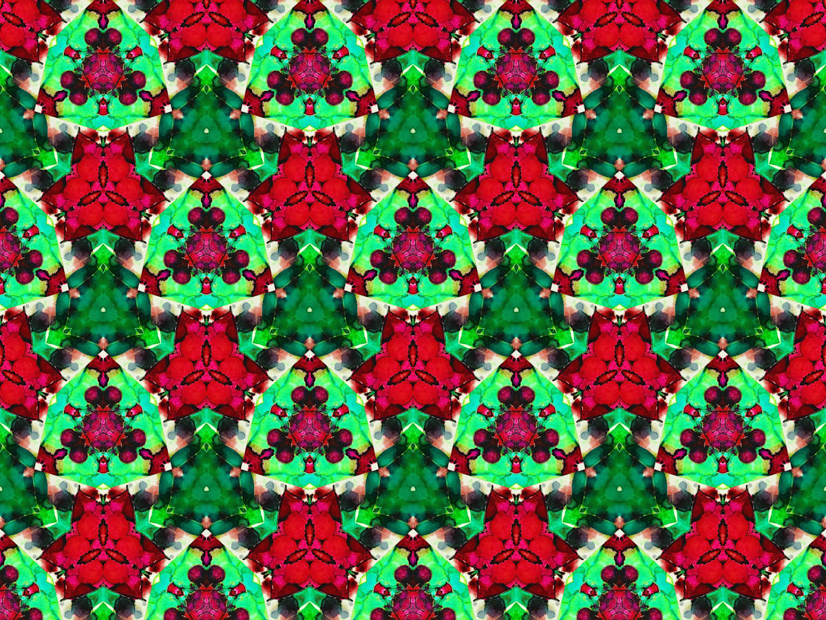 Poinsettia Kaleidoscope, Image 14.