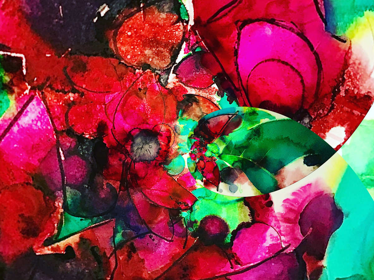 Poinsettia Spiral 3, Image 15.