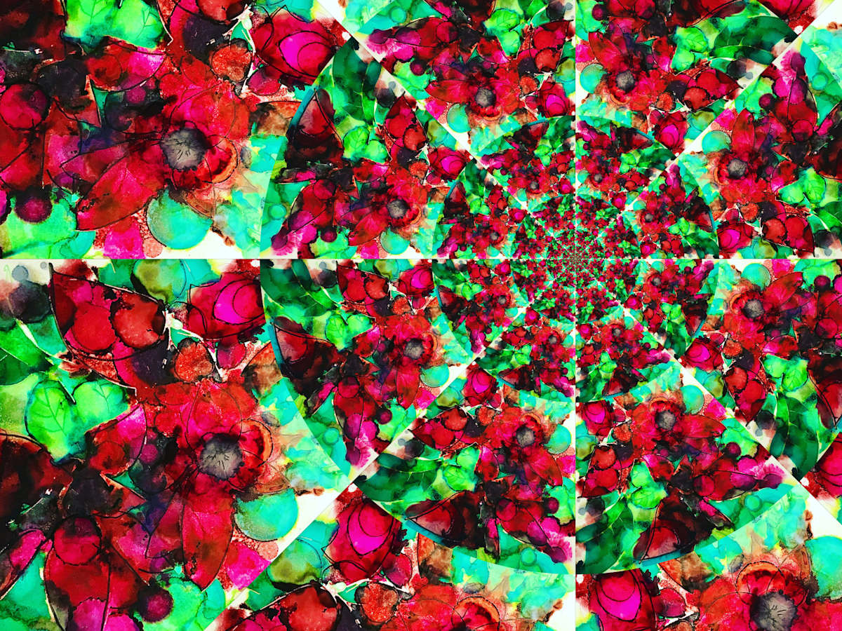 Poinsettia Spiral 2, Image 16.