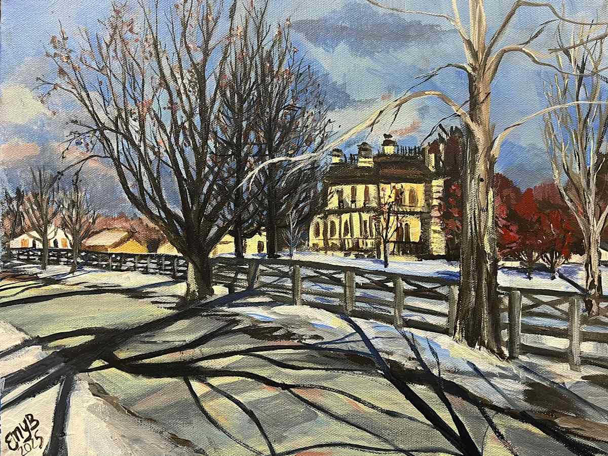 Winter Shadows/David Davis Mansion Through the Trees by Eileen Backman 