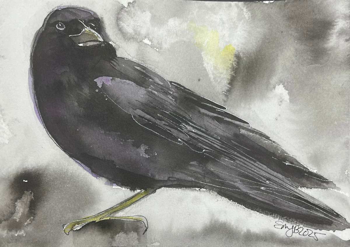 Just A Crow by Eileen Backman 