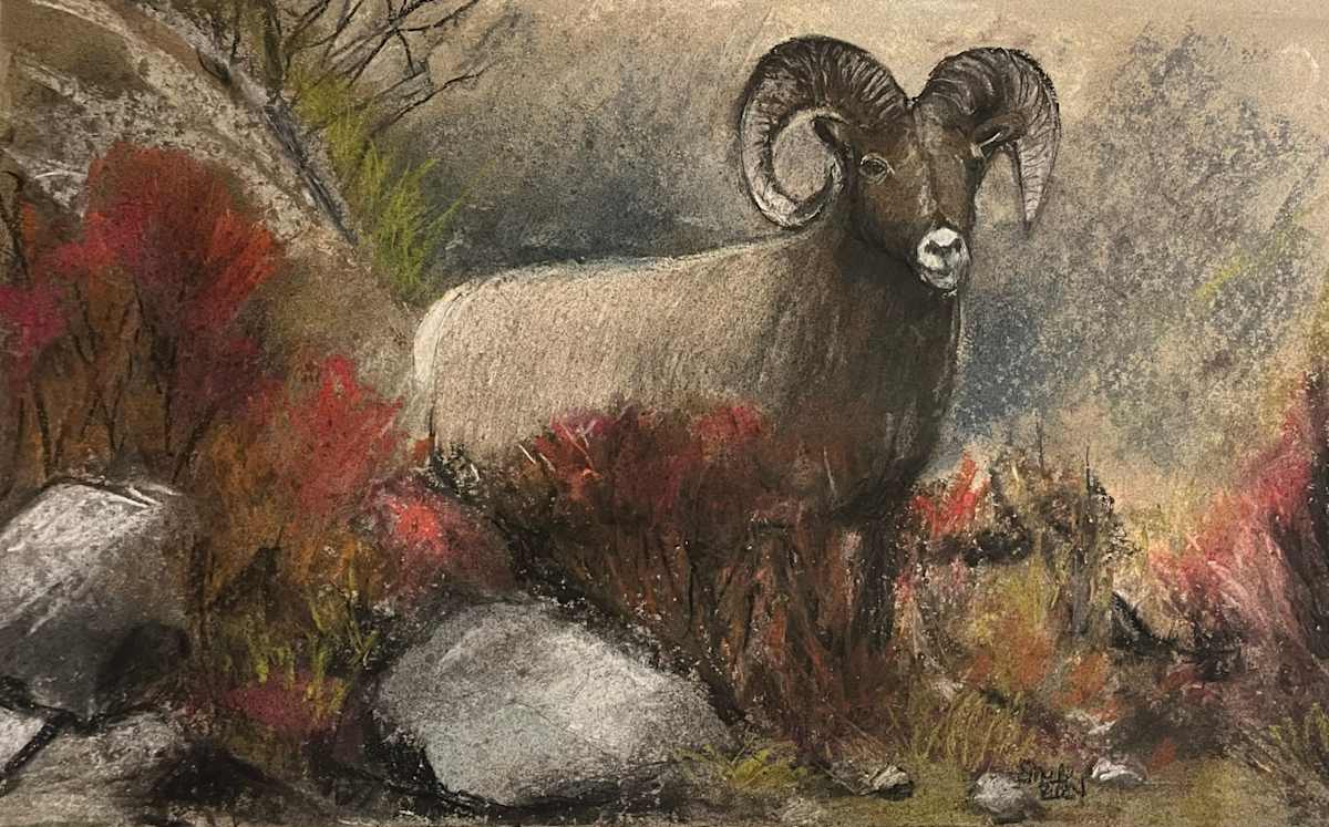 Mountain Ram by Eileen Backman, Image 2.
