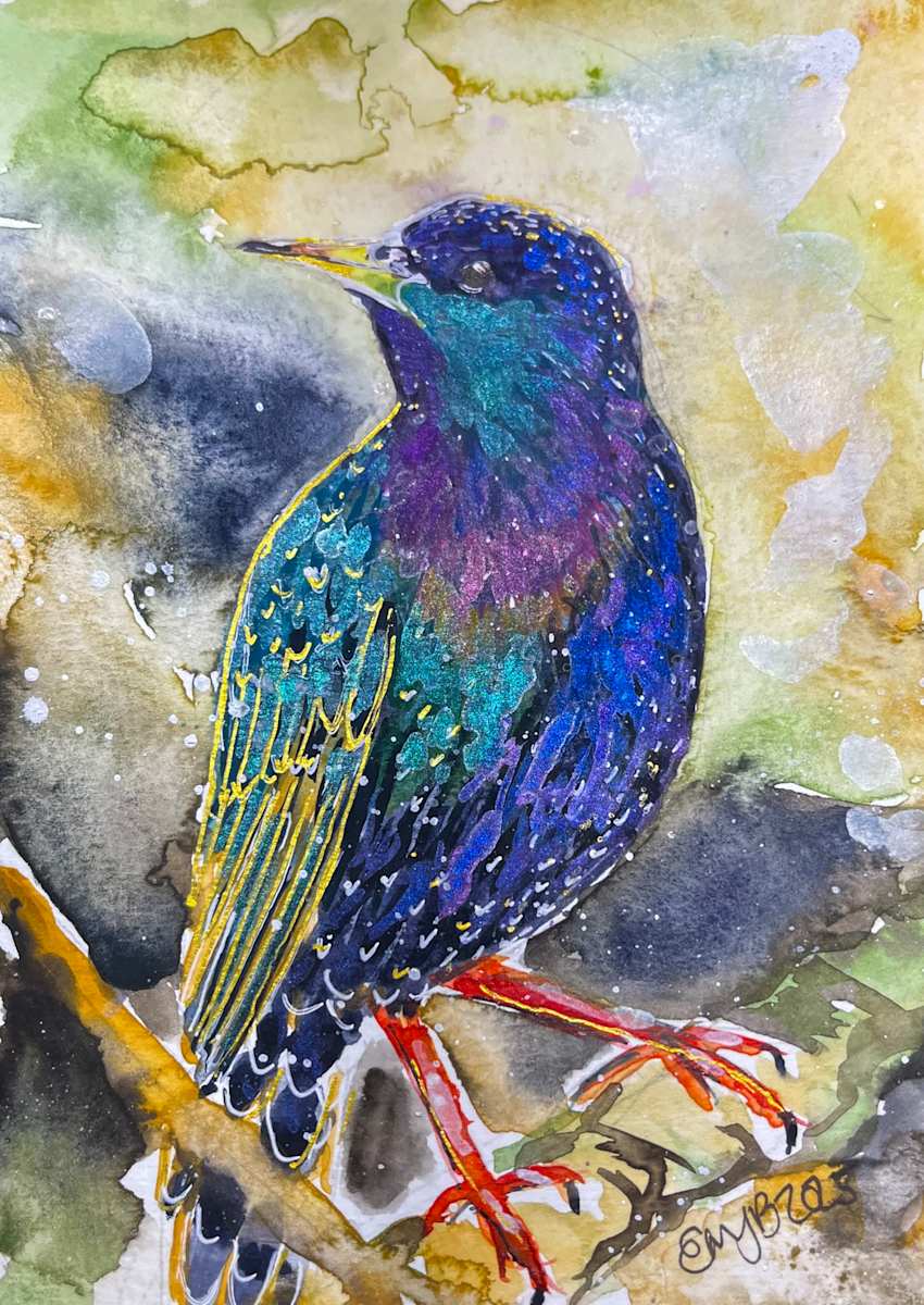 Starling Shimmer by Eileen Backman 