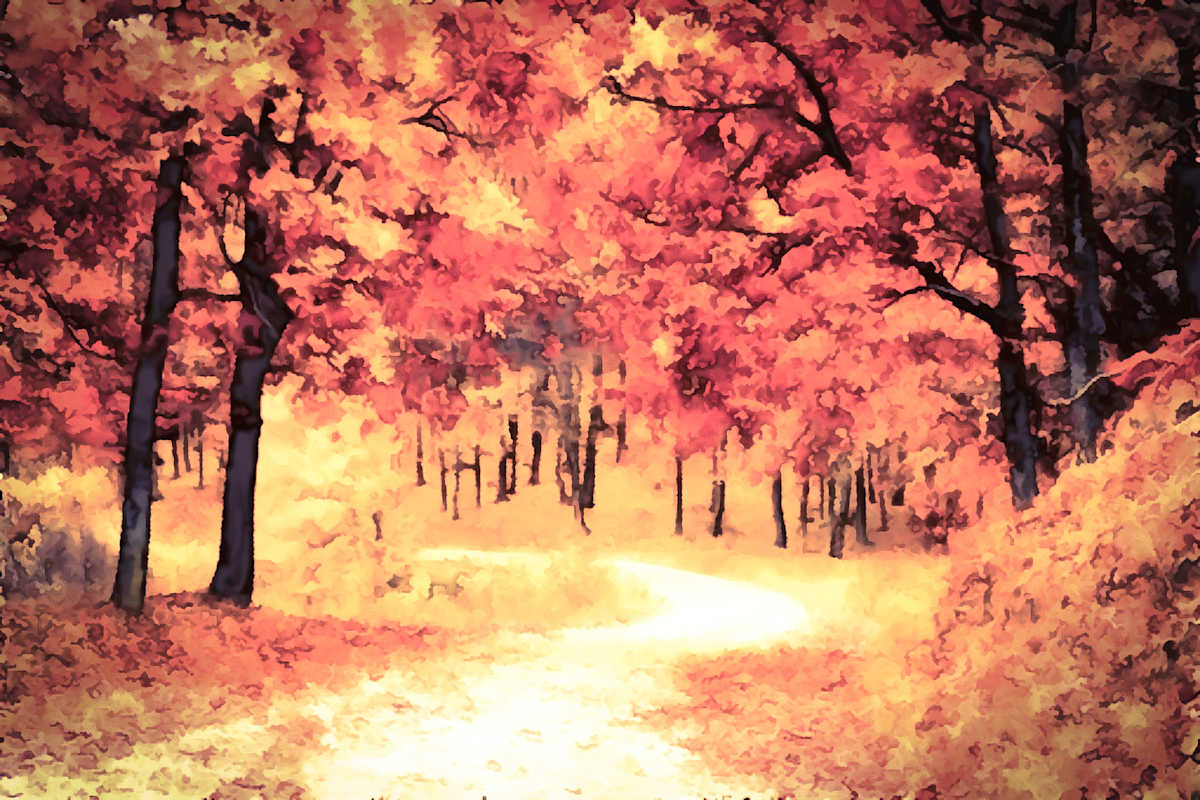 Autumn Light by Eileen Backman, Image 7.
