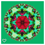 Poinsettia Mandala 1, Image 7.